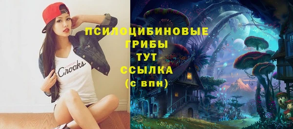 бошки Алзамай