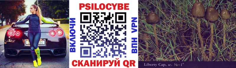 Псилоцибиновые грибы Psilocybe  Чёрмоз 